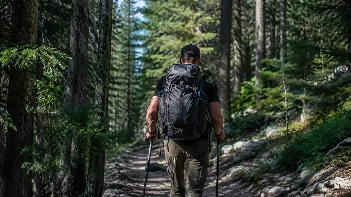 Hiker on a forested trail with a loaded backpack, trekking poles in hand, mid-morning light through tall trees